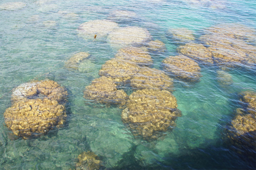 Korallenriff zum Schnorcheln